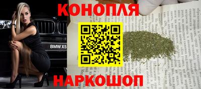 индика Пенза