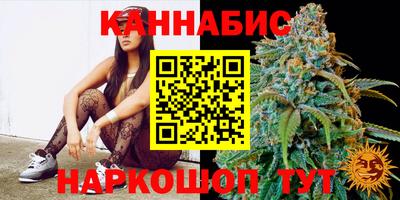 СК Обь