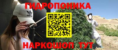 СК Обь