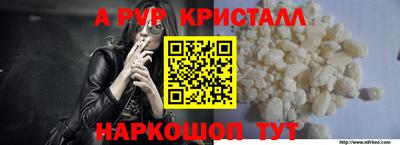 СК Обь